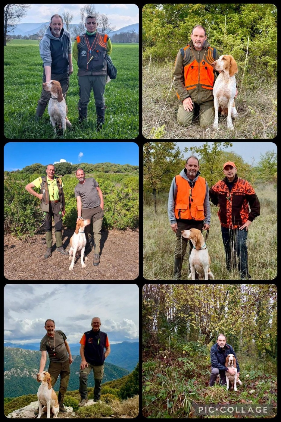 PIMENTO VAINQUEUR ECHELLE DES VALEURS TRAVAIL 2025