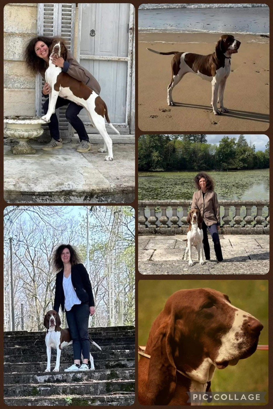 MILKA VAINQUEUR ECHELLE DES VALEURS BEAUTE 2025 ET CHAMPIONNE DE RACE !!!