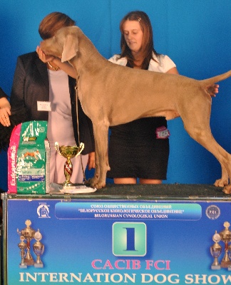 des Guerriers D'Argent - Champ the winner!!!